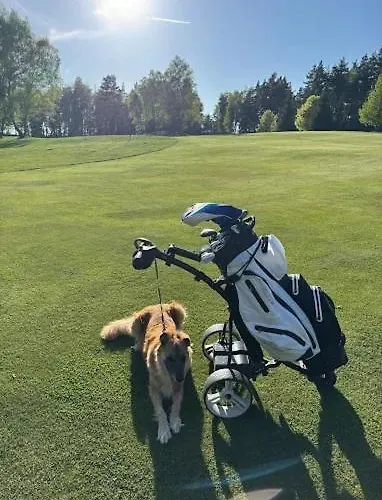 Hotel Esplanade, Dependance Monti Františkovy Lázně